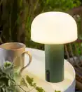 Bild 4 von IDEENWELT Outdoor-Tischleuchte grün