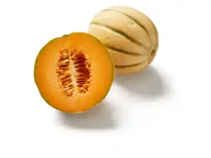 Cantaloupemelone