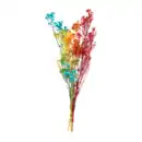 Bild 2 von HOME CREATION Trockenblumen