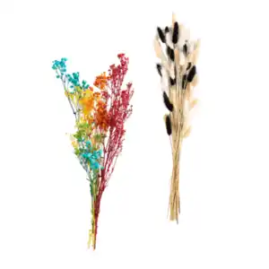 HOME CREATION Trockenblumen