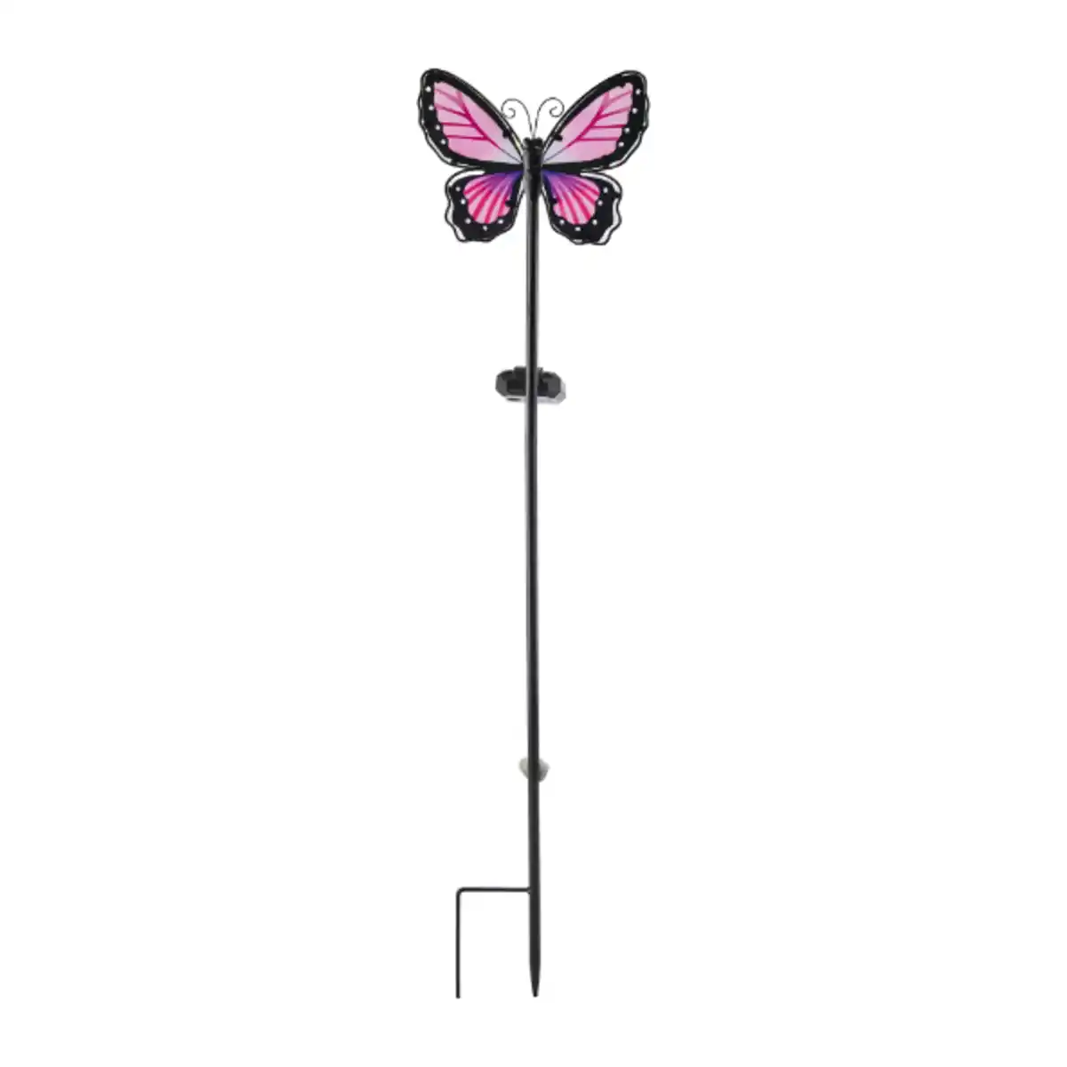 Bild 3 von BELAVI Solar-Gartenstecker