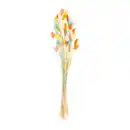 Bild 4 von HOME CREATION Trockenblumen