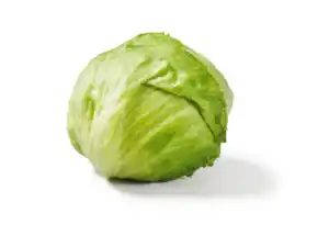 Eisbergsalat