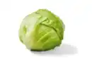 Bild 1 von Eisbergsalat