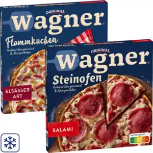 Original Wagner Steinofen Pizza, Pizzies oder Flammkuchen