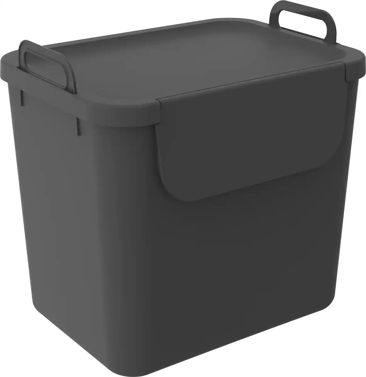 Bild 1 von Rotho Mülltrennungssystem Jive 30 L schwarz Recyclingbehälter