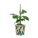 Bild 4 von GARDENLINE Obstmix im Becher