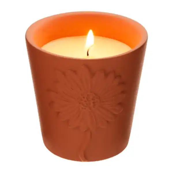 Bild 3 von HOME CREATION Citronella-Kerze