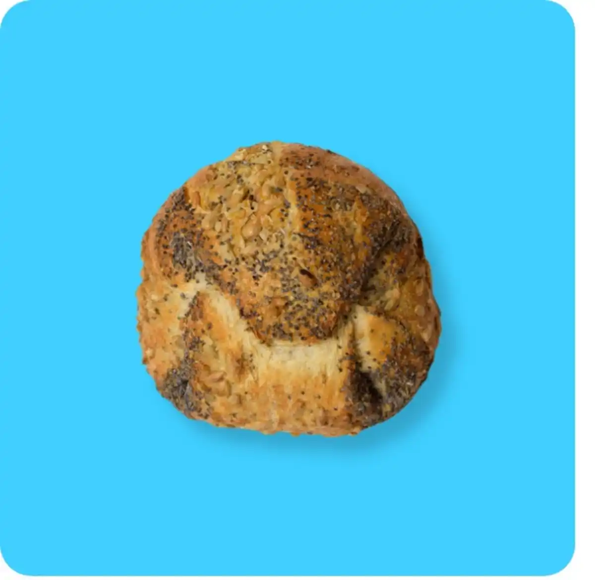 Bild 1 von MEINE BACKWELT Kornschatz, Aus dem Steinofen