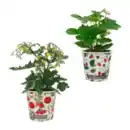 Bild 1 von GARDENLINE Obstmix im Becher