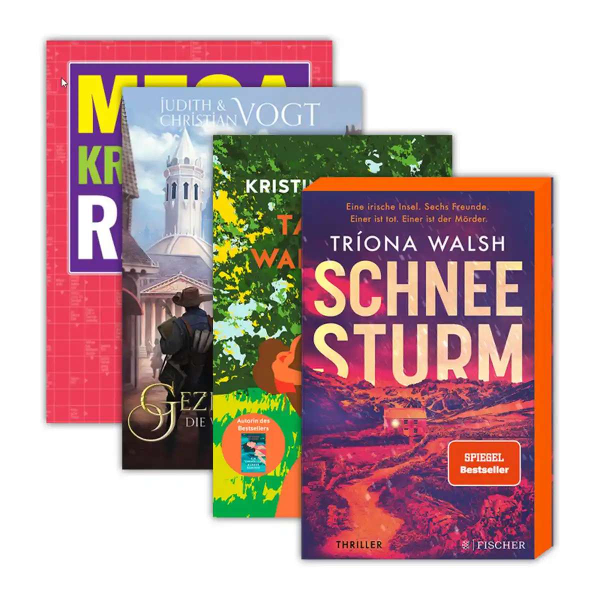 Bild 1 von Buch / Rätsel