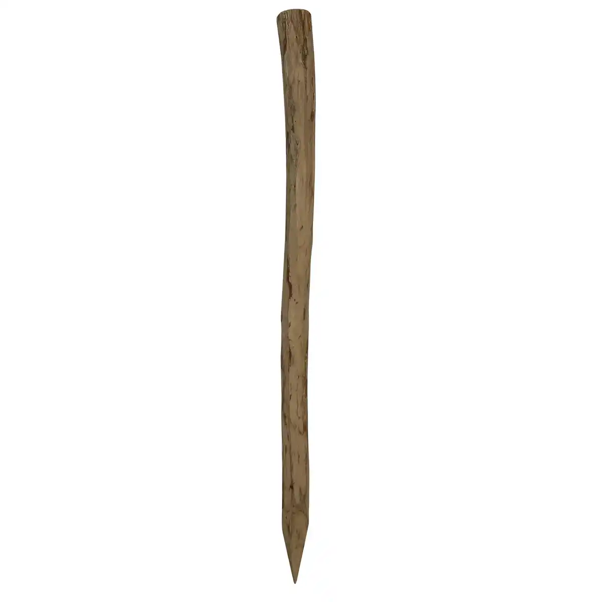 Bild 1 von Pfosten zum Rollzaun Haselnuss Ø 6 x 120 cm natur