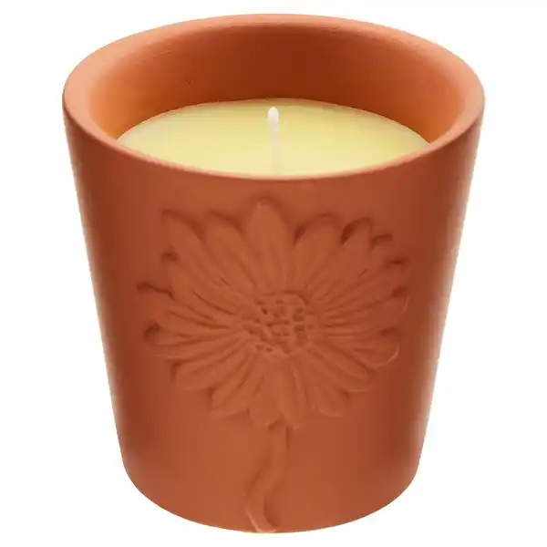 Bild 1 von HOME CREATION Citronella-Kerze