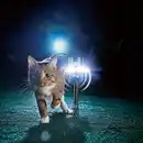 Bild 2 von Gardigo Solar-Tiervertreiber 360°