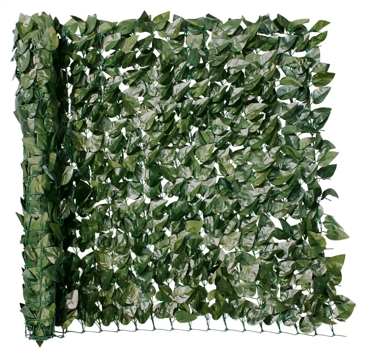 Bild 1 von COUNTRYSIDE® Sichtschutz-Hecke