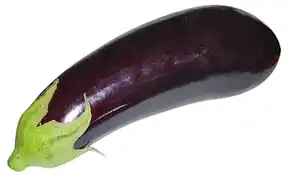 Aubergine im 12cm Topf