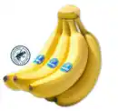 Bild 1 von CHIQUITA Bananen