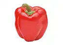 Bild 1 von Paprika 13cm Topf gelb/rot