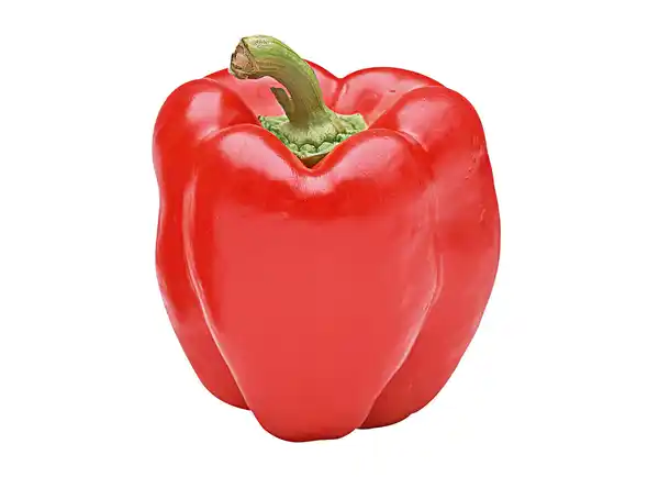 Bild 1 von Paprika 13cm Topf gelb/rot