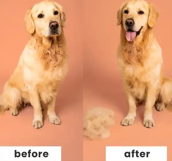 Bild 4 von Pet Teezer Pet Teezer, Enthaarbürste für jeden Hund- und Felltyp