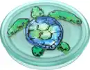 Bild 2 von PopSockets PopGrip PlantCore Grip Tortuga