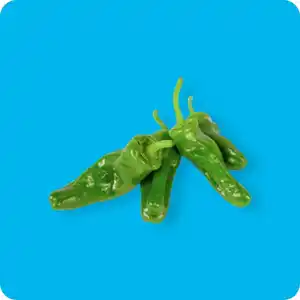   Pimientos, Ursprung: Niederlande / Spanien / Marokko