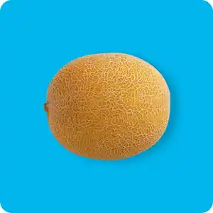   Galia Melone, Ursprung: Spanien
