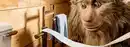 Bild 2 von Zewa Toilettenpapier Smart