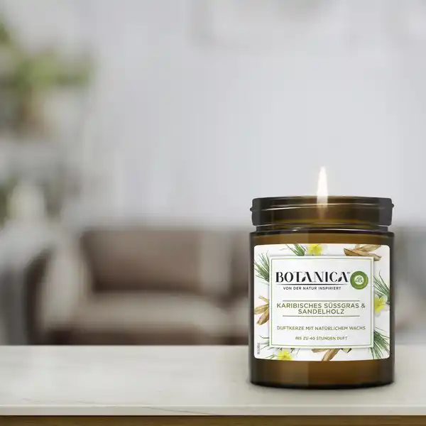 Bild 3 von Air Wick Duftkerze Karibisches Süßgras & Sandelholz, 205 g
