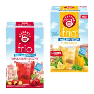 TEEKANNE Frio-Eistee 45g