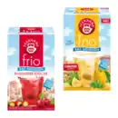 Bild 1 von TEEKANNE Frio-Eistee 45g