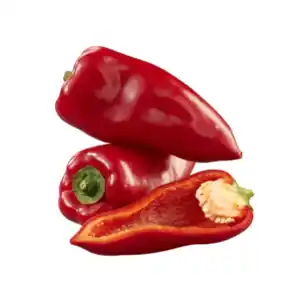 Spanien/Griechenland Bio Spitzpaprika rot