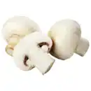 Bild 1 von Niederlande/Polen Champignons weiß