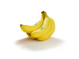 Bio-Fairtrade-Bananen, lose