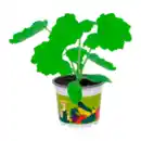 Bild 4 von GARDENLINE Gemüsepflanze