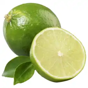 Brasilien/Kolumbien/Peru Bio HIT Limetten