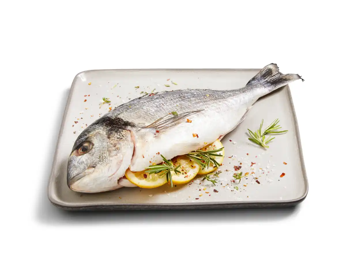 Bild 1 von Fischerstolz ASC Dorade