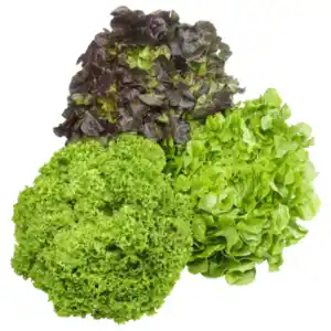 Deutschland Bunte Salate