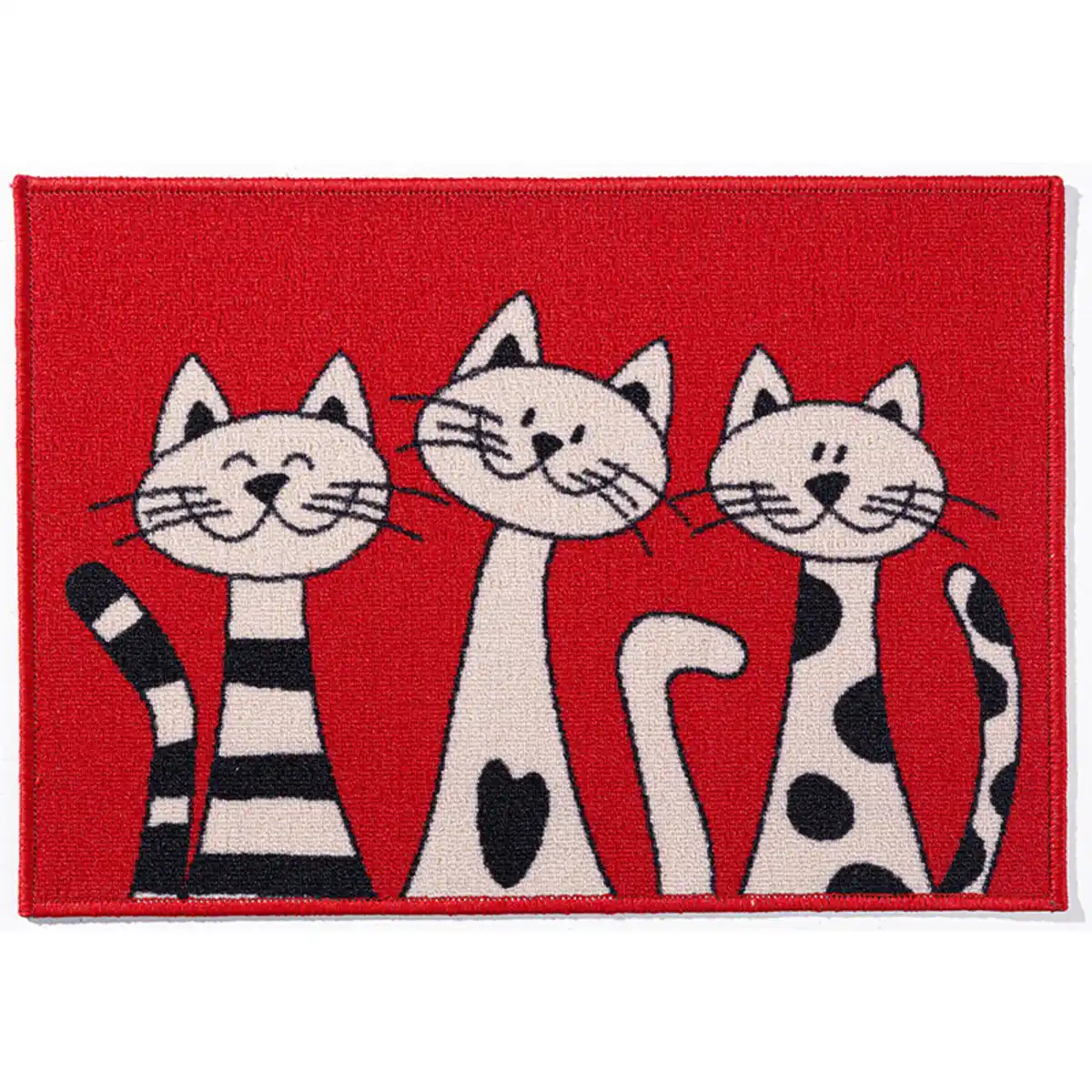 Bild 4 von Lifetex Fußmatte