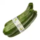 Bild 1 von GUT BIO Zucchini 500g