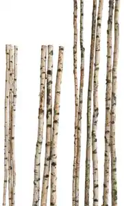 Birkenstamm 90 cm ø 4-6 cm