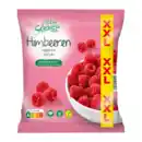 Bild 1 von ALL SEASONS Himbeeren XXL 1kg