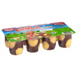Dr. Oetker Paula minis Pudding
