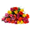 Bild 1 von Fairtrade Rosen "Trio" oder Duo