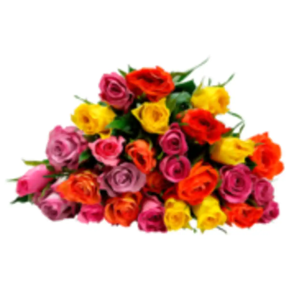 Bild 1 von Fairtrade Rosen "Trio" oder Duo