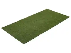 LIVARNO home Rasenteppich, B 100 x L 200 cm