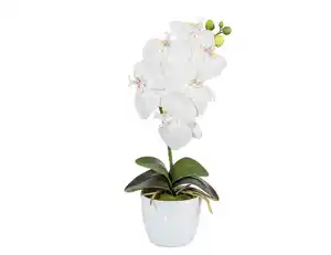 Kunstblume Orchidee