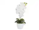 Bild 1 von Kunstblume Orchidee