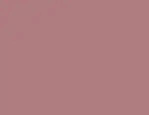 d-c-fix Klebefolie Uni Ash Rose