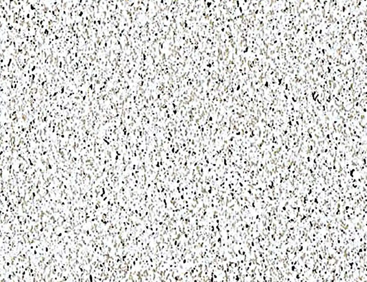 Bild 1 von Klebefolie Granit weiß